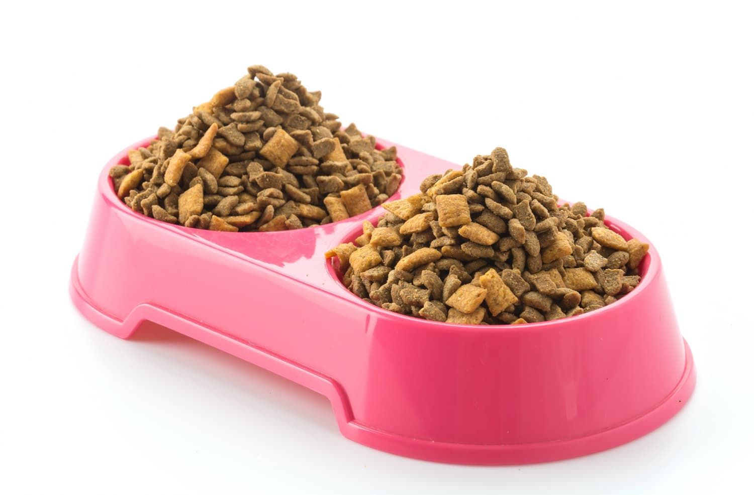 A comparison of fresh dog food and traditional kibble for canine nutrition